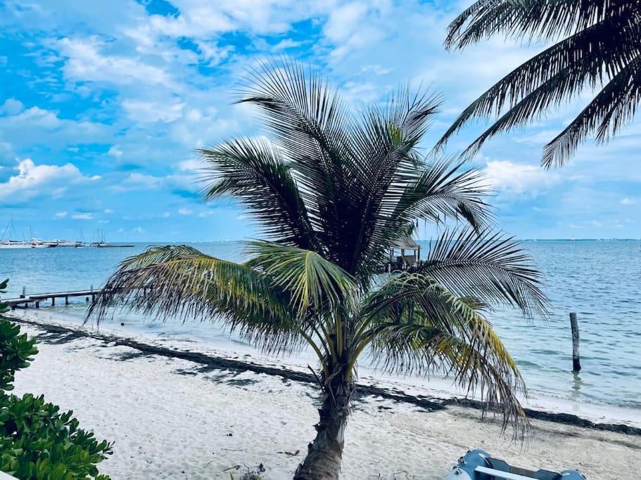 Punta Me Apartments With Nice Sea View & Beach Cancún Zewnętrze zdjęcie